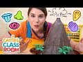 Caitie S Classroom Live The Five Senses