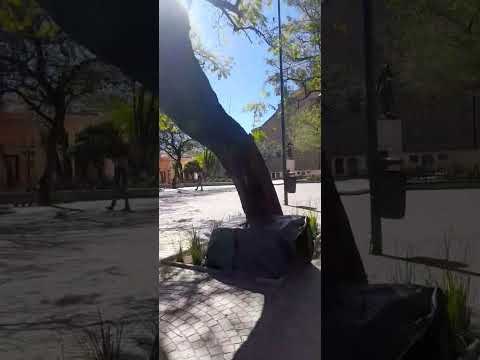 Recorriendo Córdoba Capital #vibralibre  #viajeros #cordobacapital