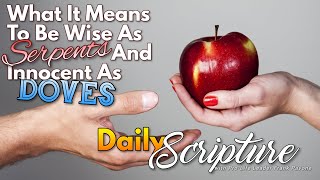 PFL-Scripture Reflection - What It Means To Be Wise As Serpents and Innocent As Doves - 7/14/23