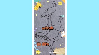 @OCHOICUABEE tô màu stock và ostrich