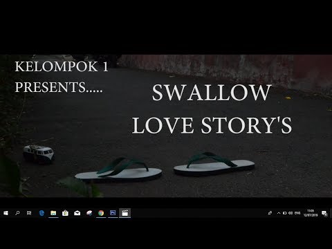 STOPMOTION - Kisah Cintas Si Swallow