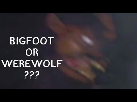 Bigfoot Or Werewolf On The NEWS In Mississippi USA 2015