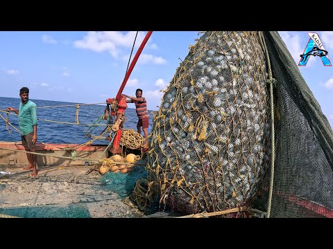 Amazing Automatic Longline Fishing Net Catch Giant Fish |  @FISH_TV