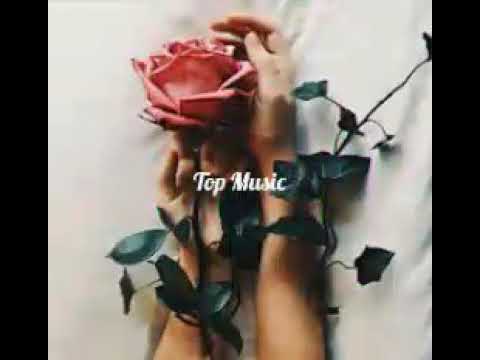 Cvetocek7 & Mariya Xachatryan ( Alexei Shkurko Remix )