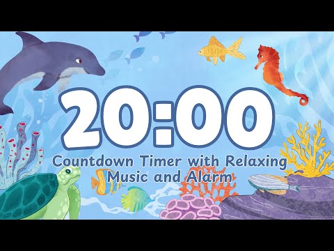 20 Minute Timer with Relaxing Music and Alarm
