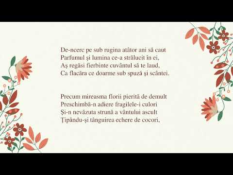 Miron Radu Paraschivescu - Suvenir