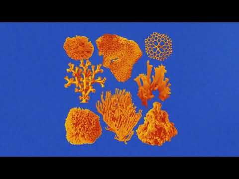 James Curd - Feeling Mumbled (Baby Rollén Remix)