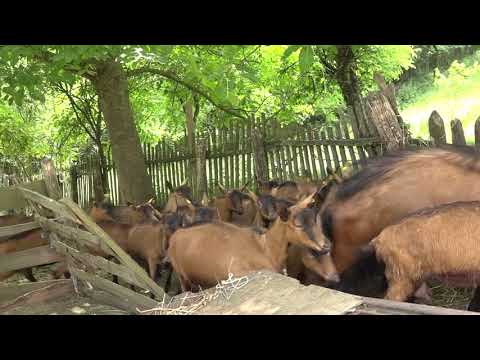 Naša priča 13.07.2018. NAJAVA