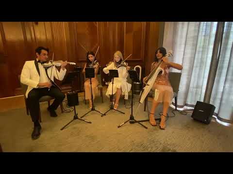 Video Garden String Quartet  London