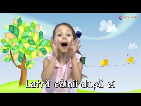 CEATA LUI PITIGOI - ANDREEA STEFAN (CANTECE PENTRU COPII 2016)