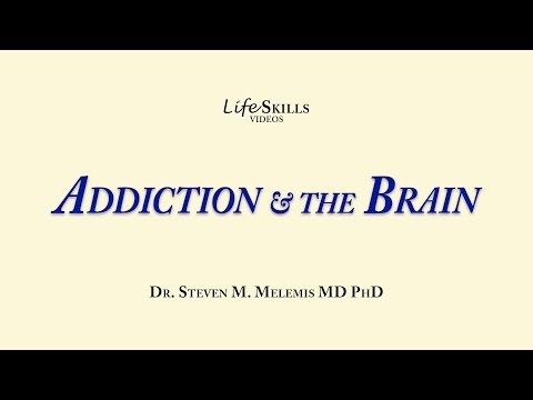 Understand Addiction and the Brain