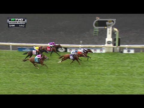 RACE REPLAY: 2015 Woodbine Mile