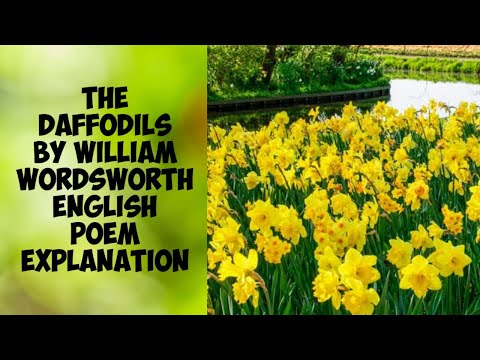 The #Daffodils by William Wordsworth (English Explanation) #ICSE 2020 English Class 10