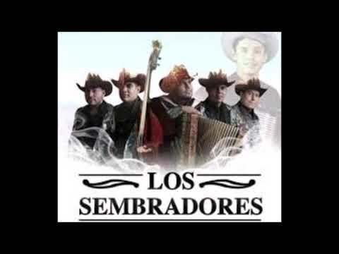 Sembradores de la Sierra Mix