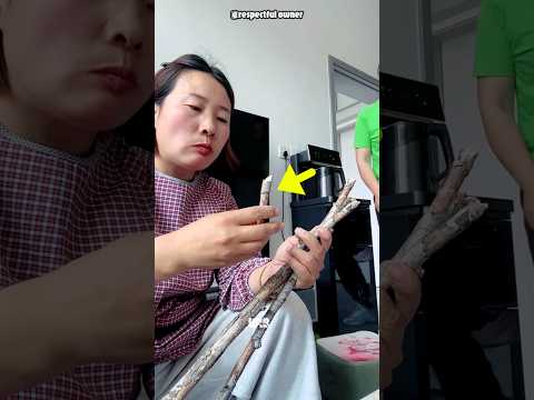 ये लकड़ी नही थी 😲 पर क्या था? #shorts