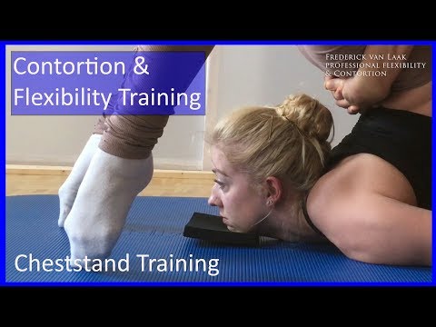 33 Flexyart Contortion: Basic Cheststand Training  - Also for Yoga, Pole, Ballet, Dance People