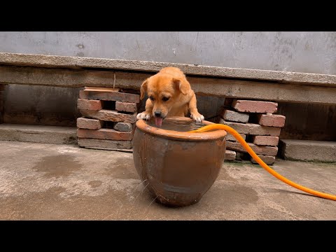 Most incredible moments ever caught on camera 