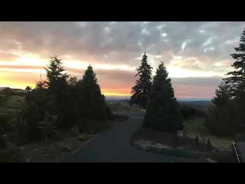 Promotional video thumbnail 2 for Elegant Solo Cello