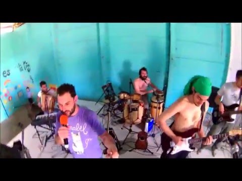 Tema De Un Mono video