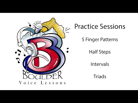 Half Steps and Intervals Practice Session