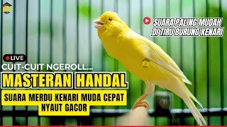 Download lagu KENARI FIGHTER LANGSUNG RESPON DENGAR SUARA KENARI GACOR #kenarijuara #canary #kicaumania mp3