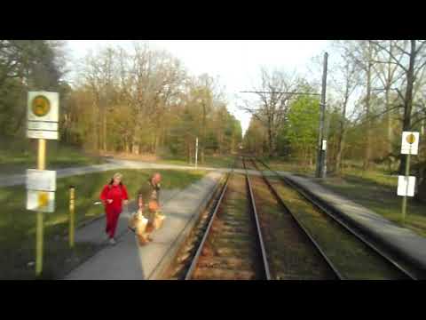Linie 61 der BVG, Rahnsdorf/Waldschänke - Fürstenwalder Damm