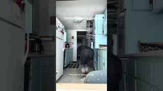 Download lagu I think he wants to stay mp3