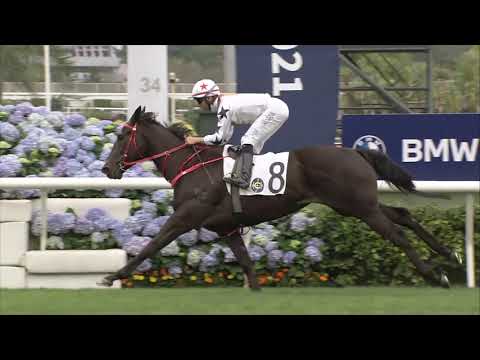 21/3/2021 (523) Courier Wonder - J Moreira