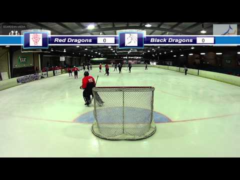 Red Dragons vs Black Dragons - 06 Jul 2014