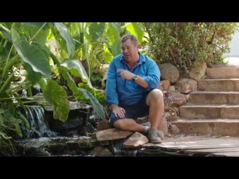 Jason Hodges explains how to create serenity in your garden with a water feature or pond