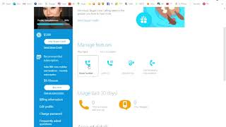 How to Cancel Skype Number subscription