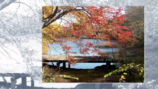 Deliverer - Vicky Beeching