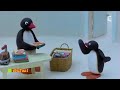 10 Le Pingu Show Pingi S Apprête Faire U 1 2