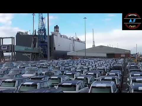 Facts about Baltic ace #shorts