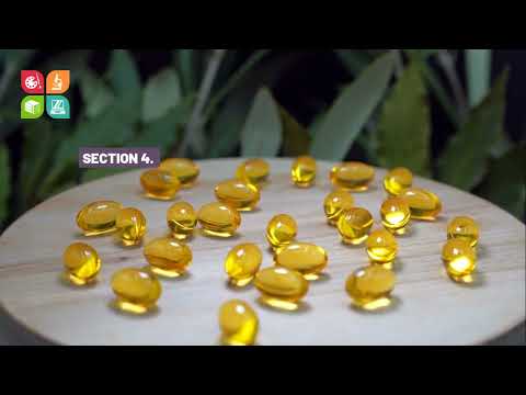 The Ultimate Guide to Dietary Supplements  What Should You REALLY Be Taking