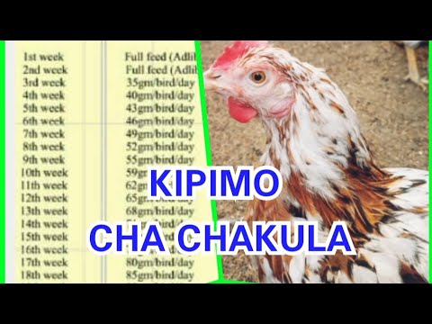 , title : 'KIPIMO CHA CHAKULA KWA KUKU WA MAYAI'