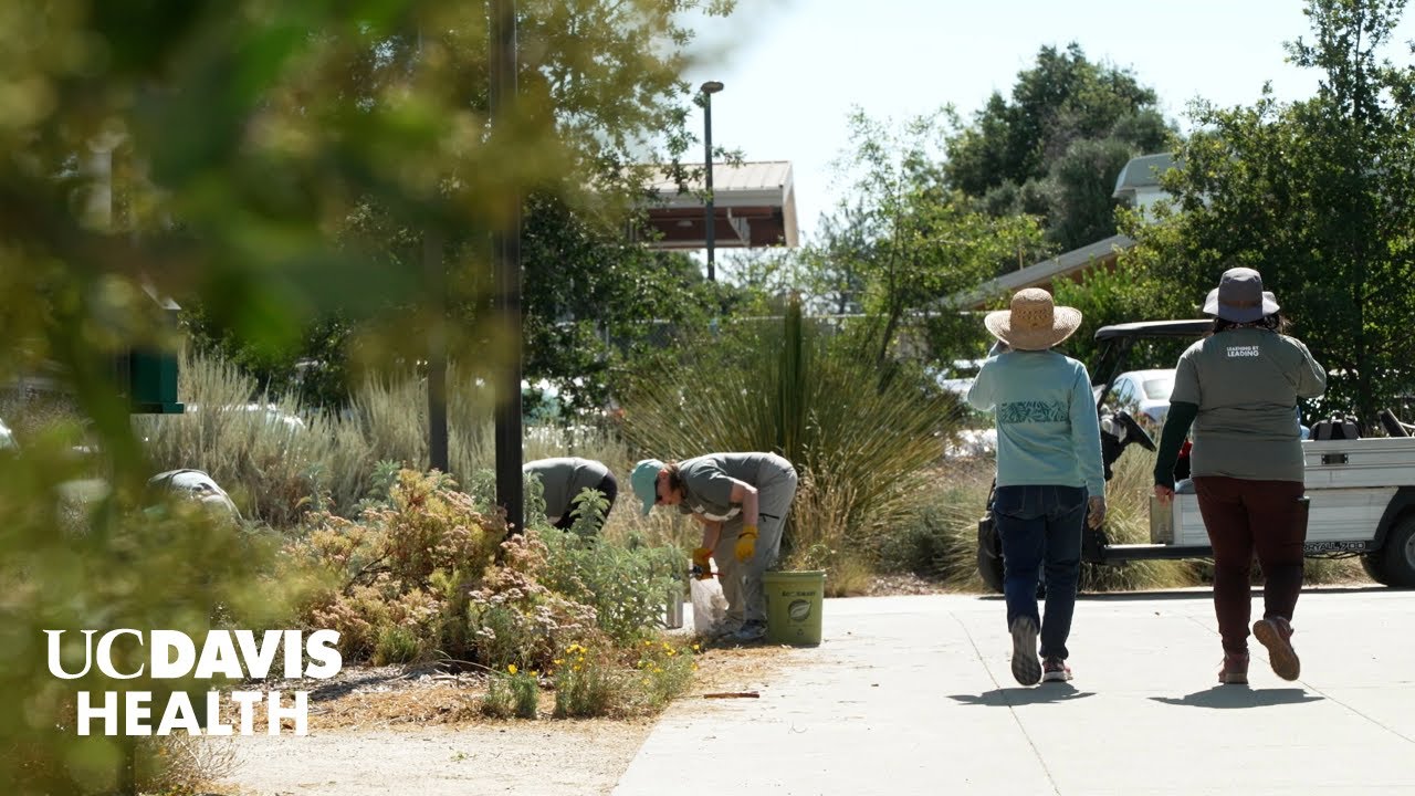 Volunteering in Late Life May Protect the Brain from Dementia | UC Davis Health Research