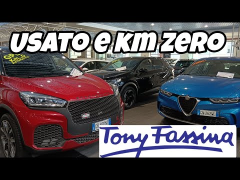 USED ​​AND KM ZERO FASSINA CAR VILLAGE