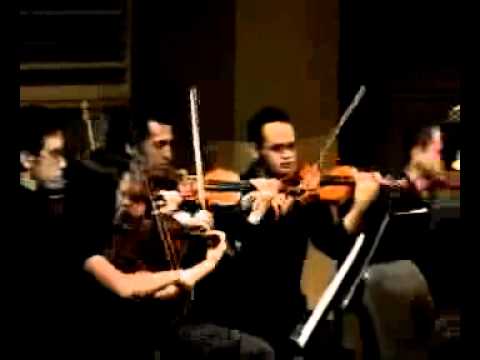 Guido Ghetti plays Antonio Vivaldi - Oboe Concerto - 1° mov.