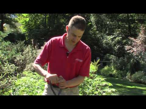 How to Reseed and Sod a Problem Lawn