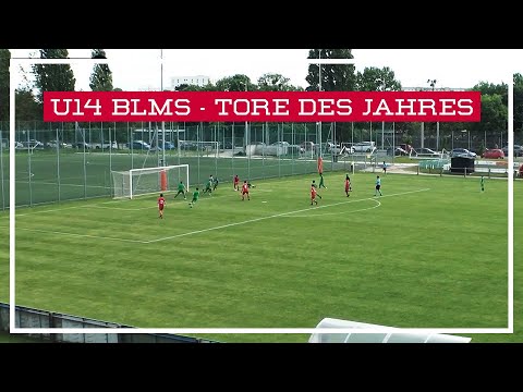 Unglaubliches Solo | Vasilije Markovic (Wien U14) | U14 BLMS Burschen | Tore des Jahres