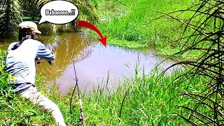 Download lagu 2 kali..!! Di Tempat Yang Sama Strike Nila Babon Sungai Batang Masang || Bumi Minang Channel mp3