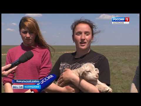 Вести «Калмыкия»: вечерний выпуск 17.05.2018