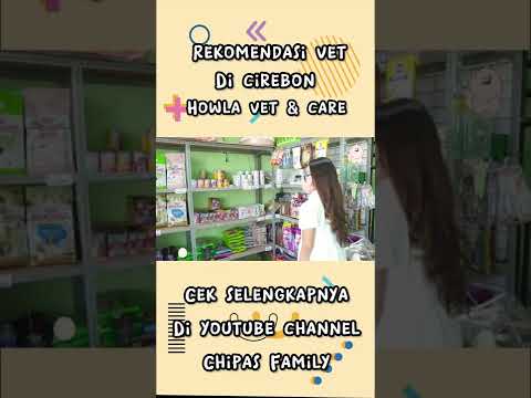 Butuh rekomendasi dokter hewan di Cirebon? Di sini tempatnya! 🐾✨