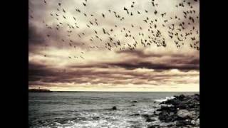 Flowing Tears - Unspoken