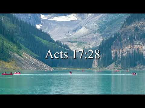 [𝑪𝑪𝑴 𝑷𝒊𝒂𝒏𝒐 𝑷𝒍𝒂𝒚𝒍𝒊𝒔𝒕] 내 호흡되시는 주