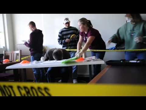 Criminal Investigation Class