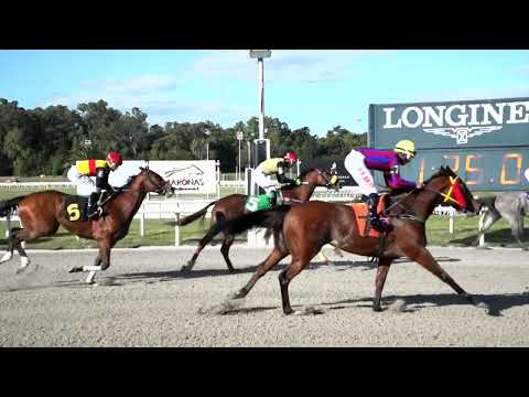 221105 c06 ORIGINAL CASH (BRZ)