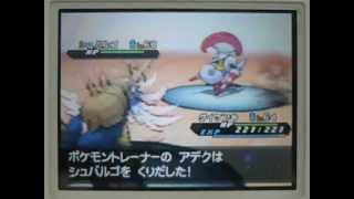 ポケモン ブラック2 ホワイト2 元チャンピオン アデク戦 تحميل اغاني مجانا