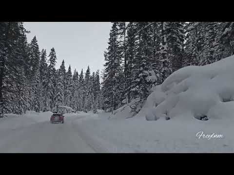 Sibel Bilgiç - Alışamadım (90'ların en güzel şarkıları)
